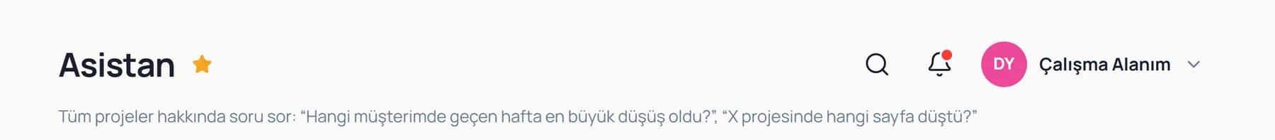 Asistan ekranı: tüm projeler hakkında soru sorulabileceğini anlatan başlık ve örnek sorular